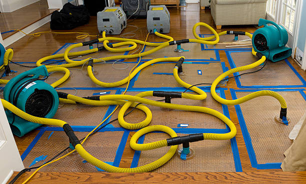 Professional Sewage Cleanup technician working in Unicoi, TN